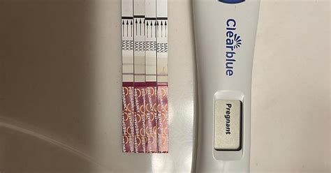 Dpo Unknown Cycle Day 49 Clearblue Digital Pregmate Album On Imgur