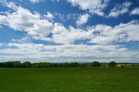 Agriculture Farm Field In English Countryside With Blue Sky And Small
