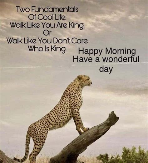 100 Good Morning Quotes With Beautiful Images 12 Dailyfunnyquote