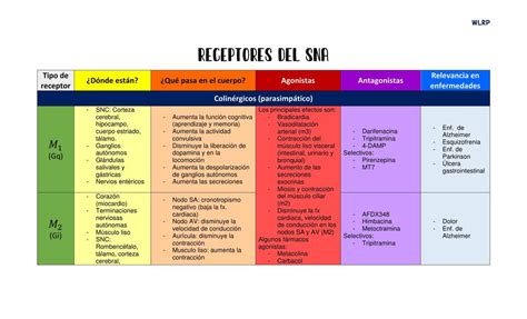 Receptores Del Sna Lilú Rodríguez Udocz