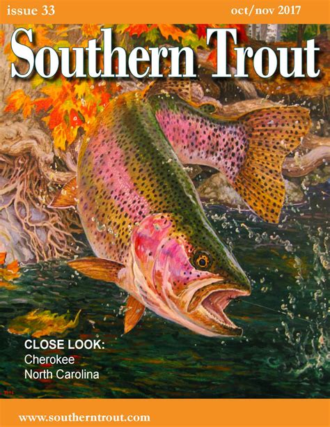 Southern Trout Magazine Issue 33 By Southern Unlimited Llc Issuu