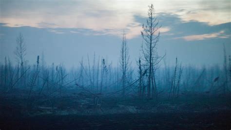 Global Warming Cited As Wildfires Increase In Fragile Boreal Forest