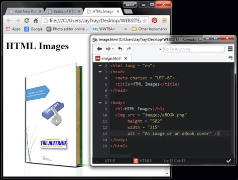 Basics of HTML Images - The JayTray Blog