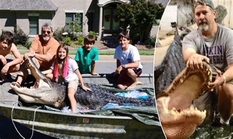 hunter shoots dead record breaking 1 100 pound 14 foot alligator on only his second ever pursuit