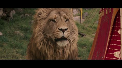 Siblings lucy, edmund, susan and peter step through a magical wardrobe and find the land of narnia. The Chronicles of Narnia - The Lion, the Witch and the ...