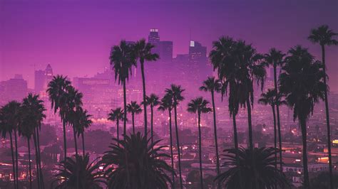 Palm Trees Against Purple Nightlights Los Angeles California