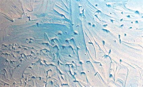 Unlike joint compound, this mixture forms a relatively thick paste. Wall Textures Using Joint Compound | 2017-03-01 | Walls ...