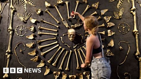 Real Bodies Exhibition Causes Controversy In Australia Bbc News