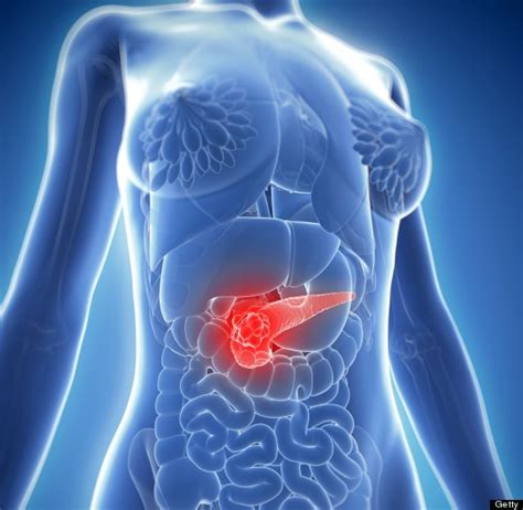 General Study Reveals Gene Expression Patterns In Pancreatic