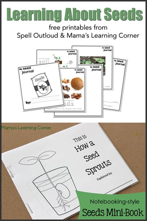 One whole bunch by mary meyer is. In the Garden with Kids - Activities and Printables - The ...