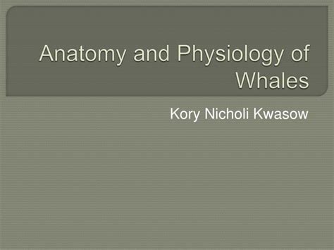 Ppt Anatomy And Physiology Of Whales Powerpoint Presentation Free