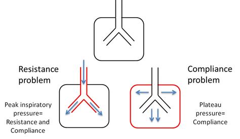 Physiology Terms Airway Resistance Is The Resistive Forces Encountered