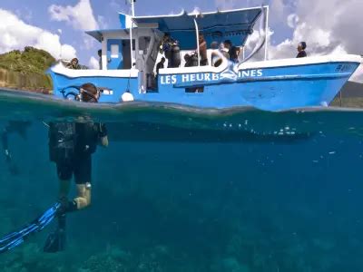 Plong E Sous Marine Autour Des Lets Pigeon Au D Part De Basse Terre