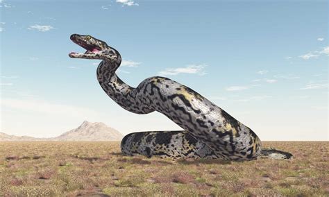 5 Prehistoric Snakes One Was The Size Of A School Bus Az Animals