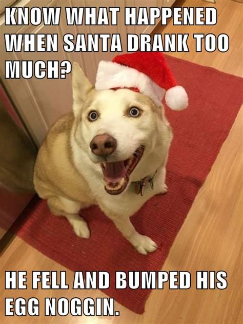Dad Joke Dog Christmas Edition I Has A Hotdog Dog Pictures Funny