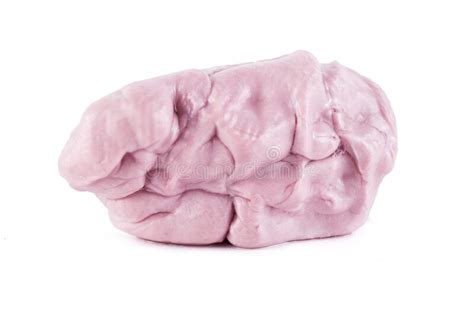 Chewed Pink Bubble Gum Isolated On White Background Stock Image Image