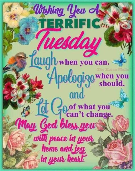 Wishing You A Terrific Tuesday Tuesday Tuesday Quotes Terrific Tuesday