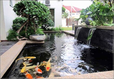 Clay mineral penjernih air kolam koi aquarium koki akuarium udang hias ikan aqua tanaman type premium. Cara Membuat Kolam Ikan Minimalis Sederhana yang Mudah ...