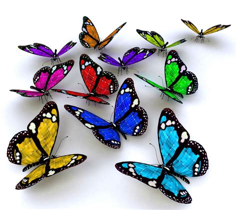 Pictures Of Colorful Butterflies Photos Cantik