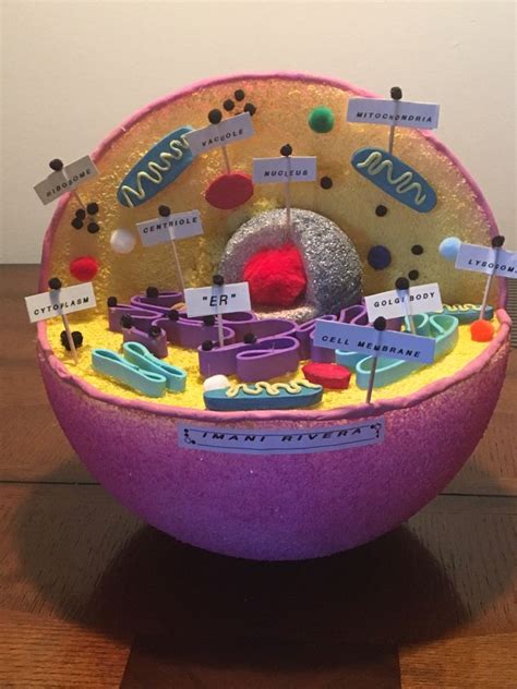 Lego animal cell — homegrown learners. Wow!!! my granddaughter's "Animal Cell" school project ...