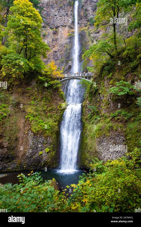 Multnomah Falls In The Columbia River Gorge Oregon Stock Photo Alamy