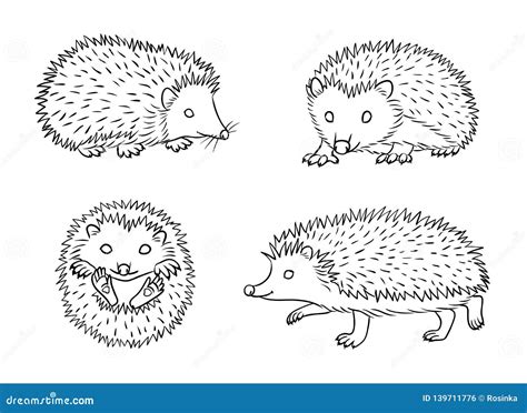Cute Hedgehogs In Contours Vector Illustration Stock Vector