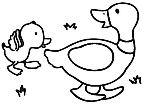 Dibujos de animales para colorear, pintar e imprimir gratis