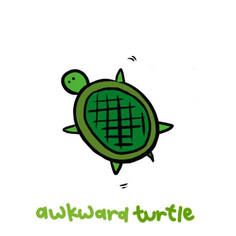 Awkward Turtle S Find And Share On Giphy
