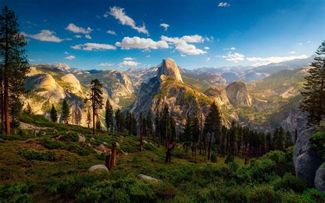 Usa Yosemite National Park Forest Trees Mountain Clouds Wallpaper