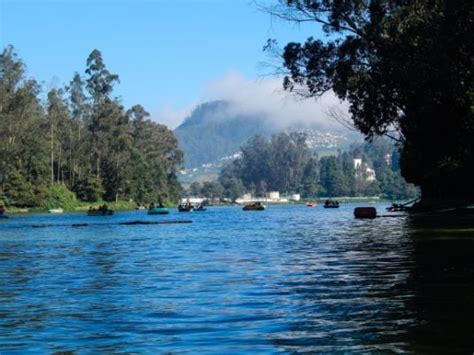 Ooty Lake Ooty What To Expect Timings Tips Trip Ideas By