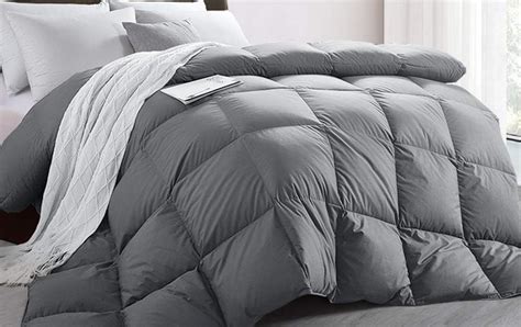 This 17 Facts About Gray Down Comforter King Advantages Of Down