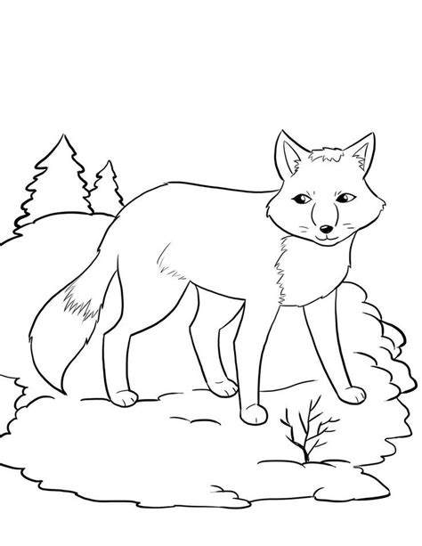 Arctic Fox Coloring Pages Coloring Home