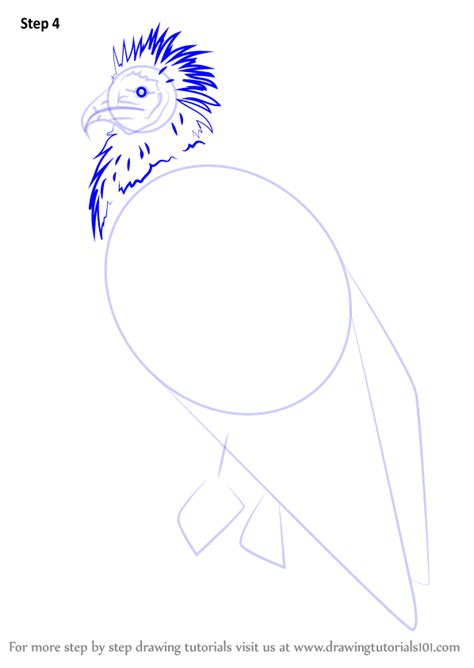 Select from 35870 printable crafts of cartoons, nature, animals, bible and many more. Learn How to Draw an Egyptian Vulture (Bird of prey) Step ...