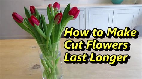 How To Make Cut Flowers Last Longer Easy And Simple Flowers Diy