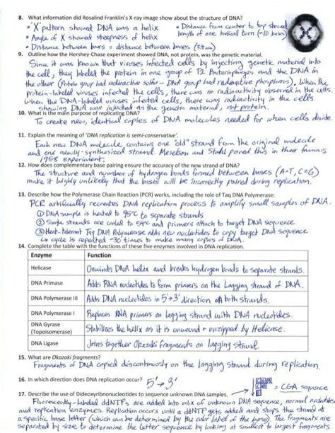 Https://tommynaija.com/worksheet/protein Synthesis Review Worksheet Answers