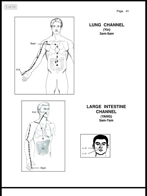 Shang yang / metal yang. Lung and Large Intestine meridian (With images) | Acupuncture