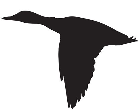 Duck Flying Silhouette Clipart Best