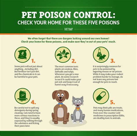 Pet Poison Prevention Infographic Pet Poison Prevention Vet Medicine