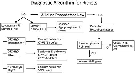 Frontiers Diagnosis And Management Of Vitamin D Dependent Rickets