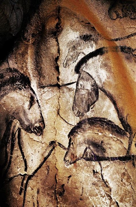 The Cave Art Paintings Of The Chauvet Cave Cave Paintings