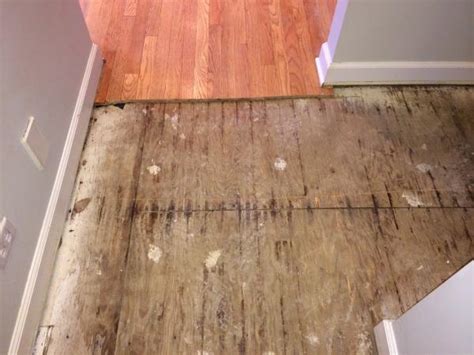 The bottom surface is a single sheet of thin wood veneer; replace these subfloors?? - DoItYourself.com Community Forums