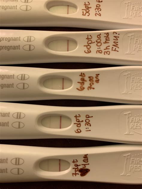 Progression 5dp5dt 7dp5dt 12dpo All Frer Hoping This One