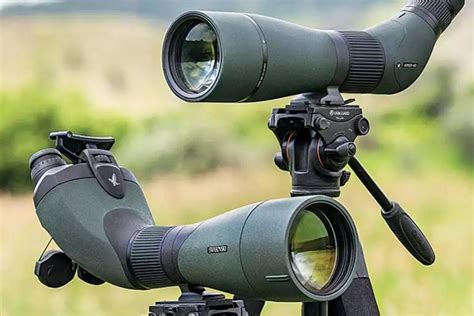 What is the best tactical rifle scope? BSA Scopes Review For Hunting And Tactical Use 2019 - Best ...