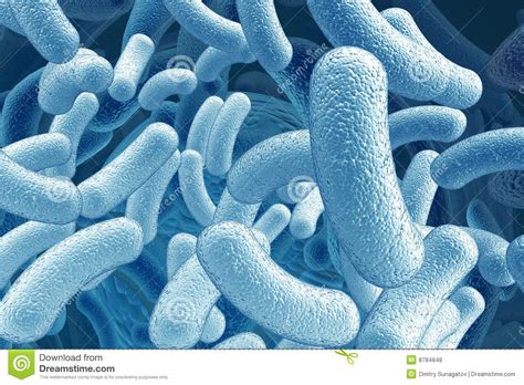 Illustration Of Bacillus Microorganisms Royalty Free Stock Photos