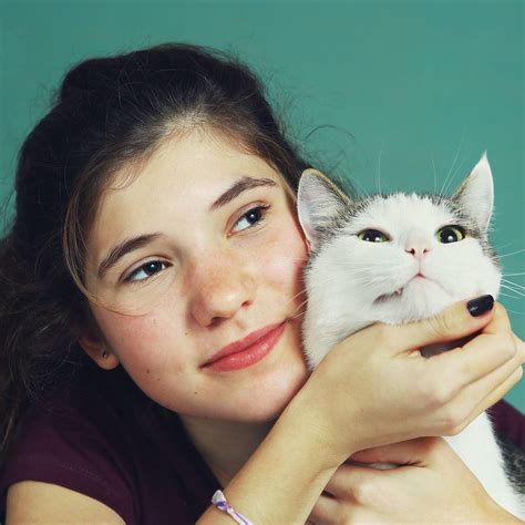 International hug your cat day healthy paws. NATIONAL HUG YOUR CAT DAY - June 2020 | National Today