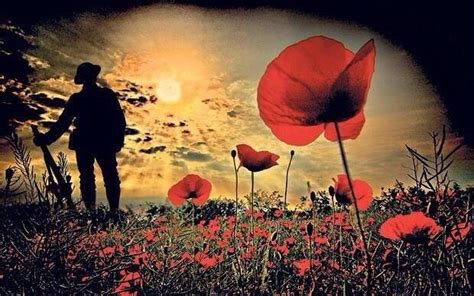 Significance Of Poppy Remembrance Day