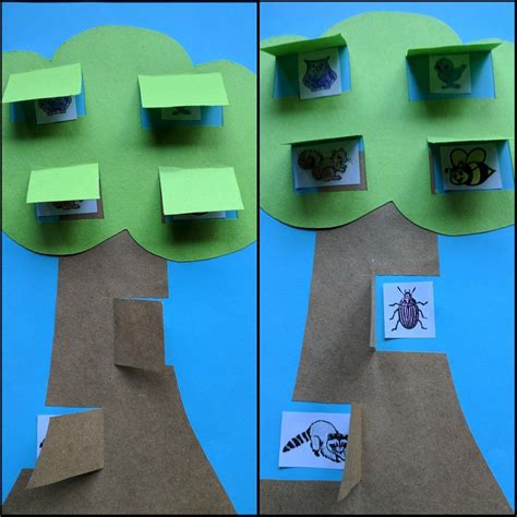 Who Lives In Trees Craft Pre Cut And Glued The Tree After Story