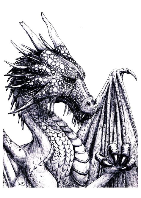 12 easy dragon coloring pages for adults pics colorist