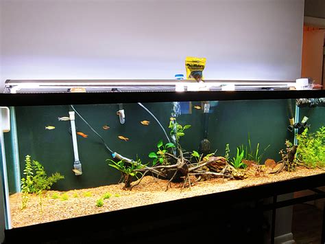 125 Gallon Raquarium