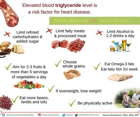 Lifestyle And Dietary Choices That Can Help Lower Triglyceride Levels